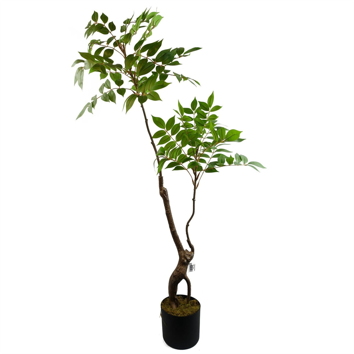 110cm Artificial Toona Sinensis Tree Evergreen - Premium Quality