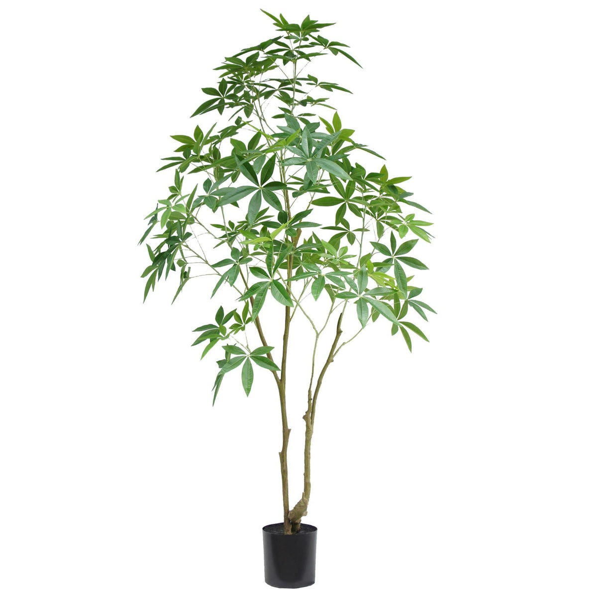 210cm Artificial Money Tree Pachira Realistic Faux Tree - Premium Quality