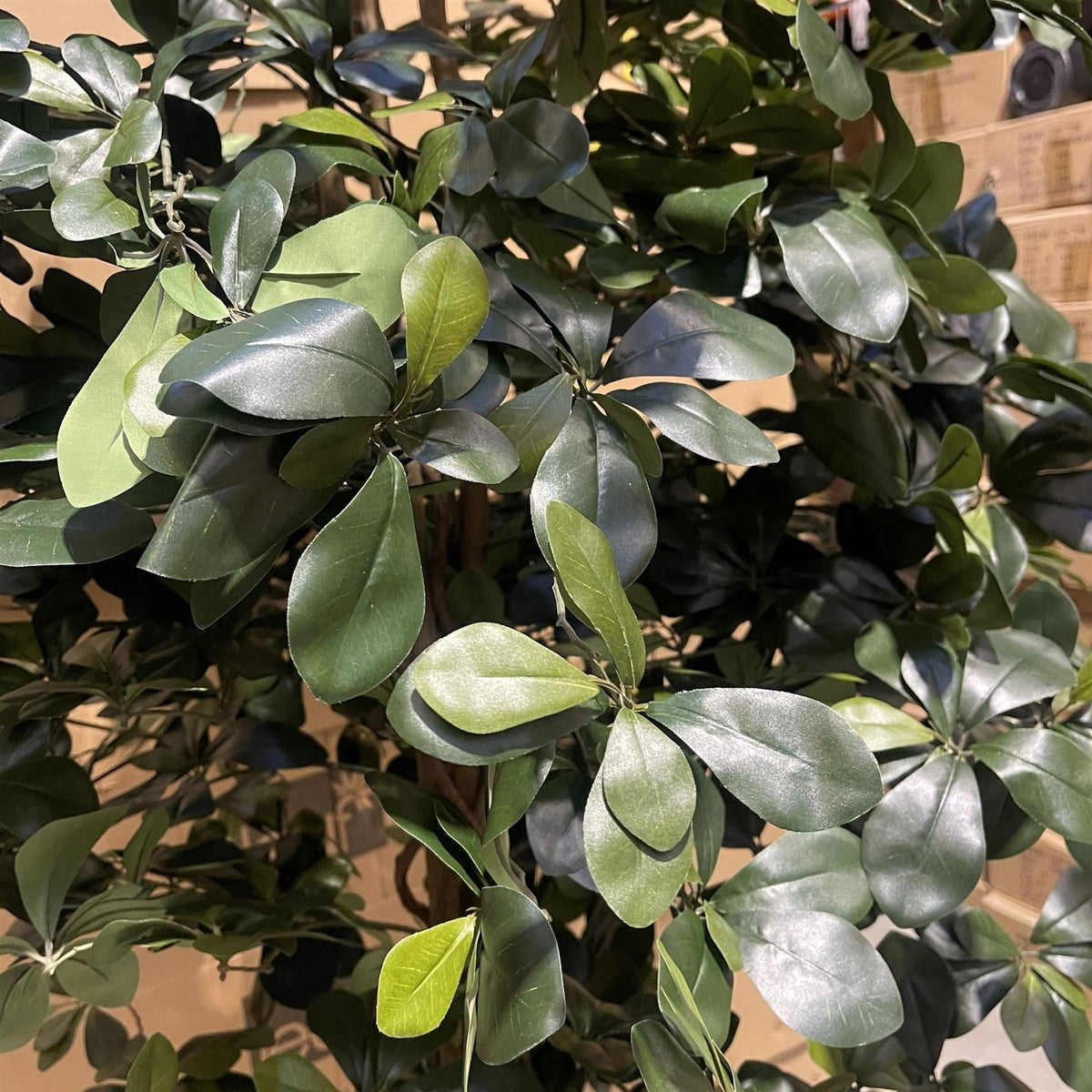 180cm Fire Retardant Black Olive Tree with 2925 Leaves and Natural Trunk - Premium Quality