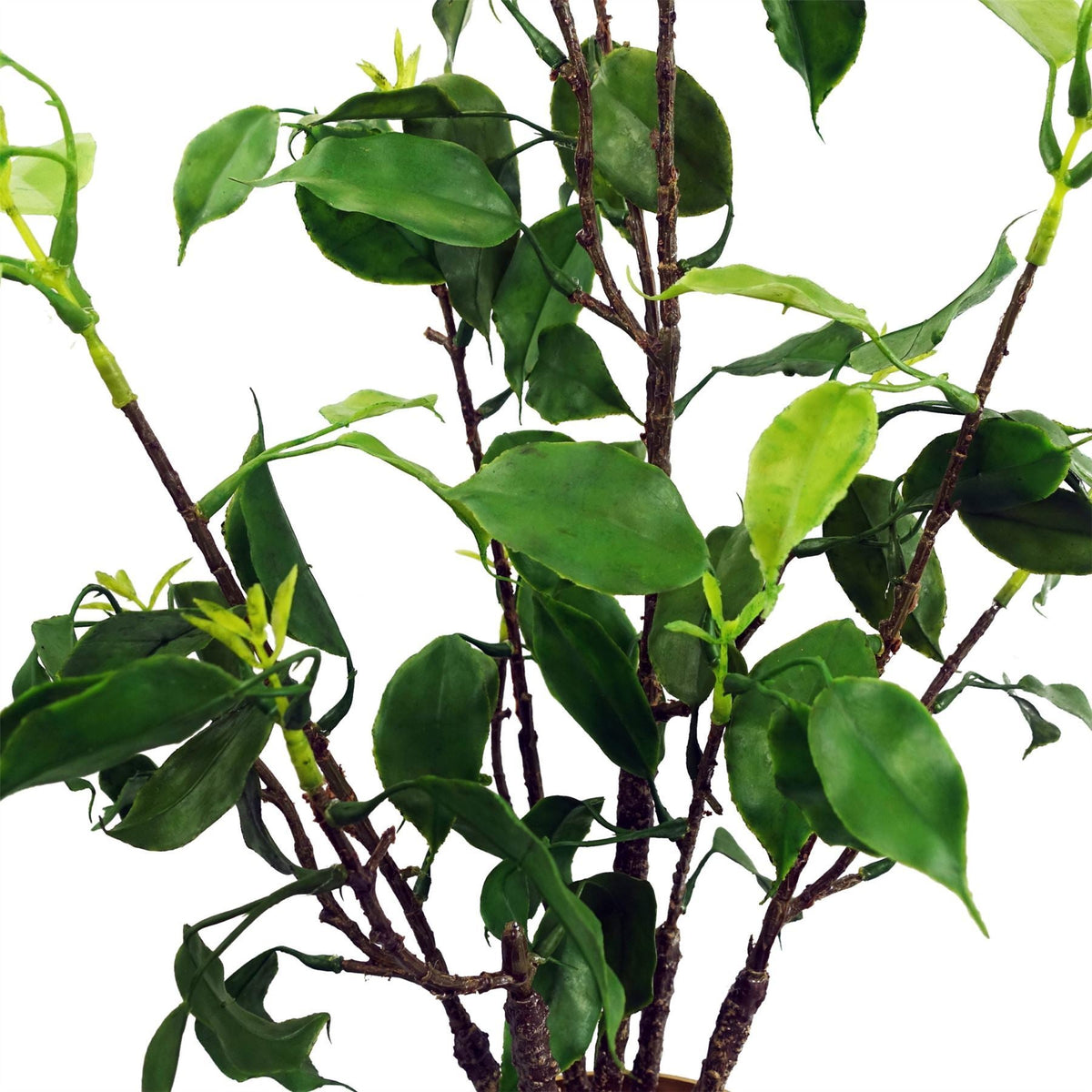 60cm Artificial Banyan Bonsai Ficus Tree - Premium Quality