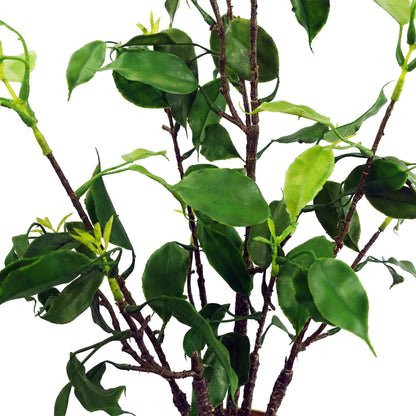 60cm Artificial Banyan Bonsai Ficus Tree - Premium Quality
