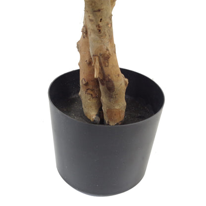130cm Variegated White/Green Bushy Ficus Tree Silver Metal Planter - Premium Quality