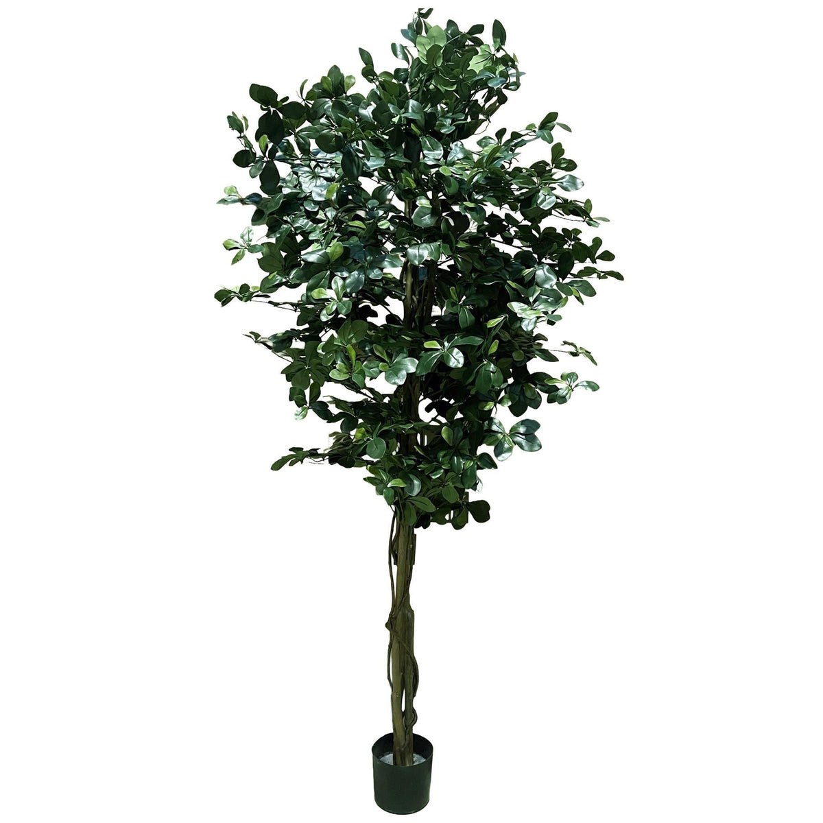 180cm Fire Retardant Black Olive Tree with 2925 Leaves and Natural Trunk - Premium Quality