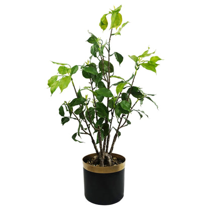60cm Artificial Banyan Bonsai Ficus Tree - Premium Quality