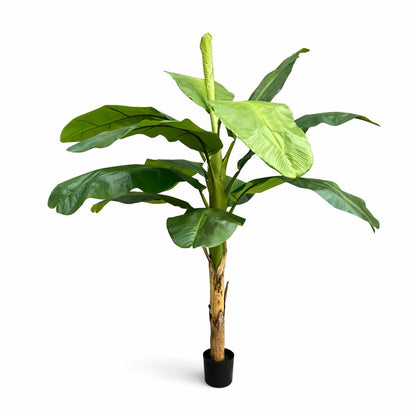 240cm Artificial Large Banana Tree with 13 Leaves - Premium Quality