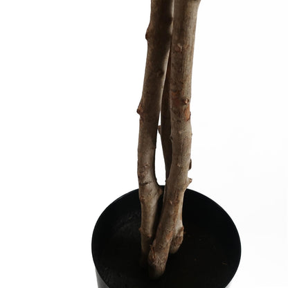 120cm Artificial Forsythia Tree - Premium Quality