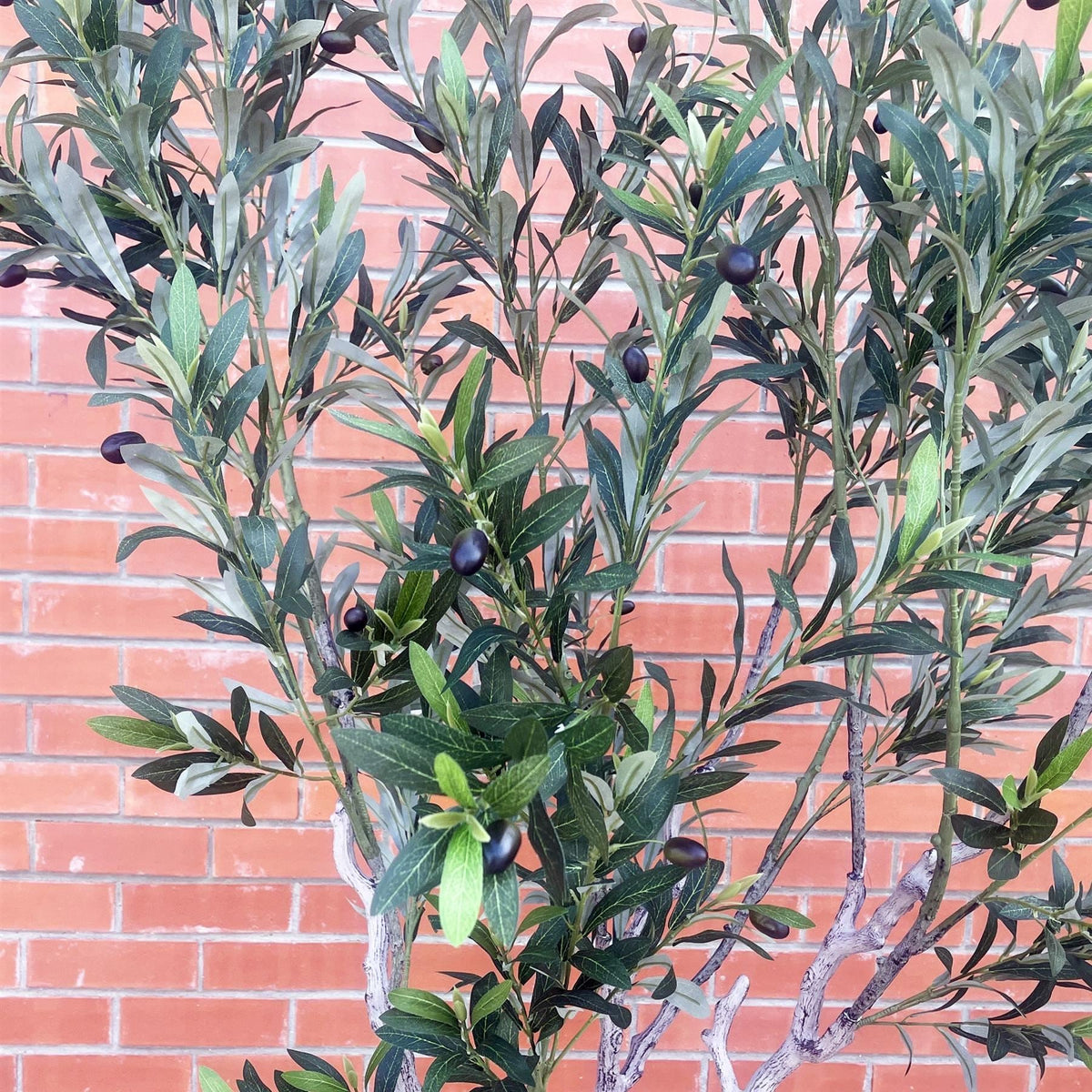 200cm XXL Artificial Olive Tree with Decorative Planter - Premium Quality