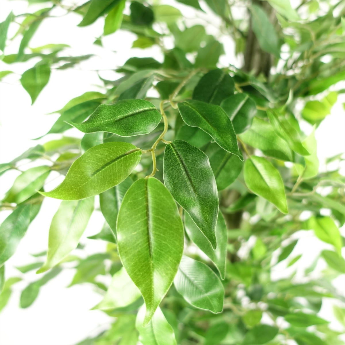 180cm Artificial Ficus Tree Green Realistic - Premium Quality