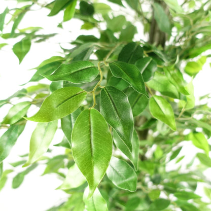 180cm Artificial Ficus Tree Green Realistic - Premium Quality