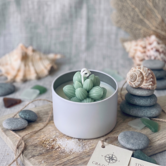 Cactus Jar Candle, Sage Cluster Succulent