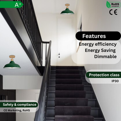 Semi Flush Mount Ceiling Light E27 ~3763