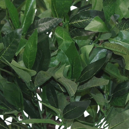 50cm Leaf Design UK Artificial Realistic Bay Laurel Topiary Ball Tree
