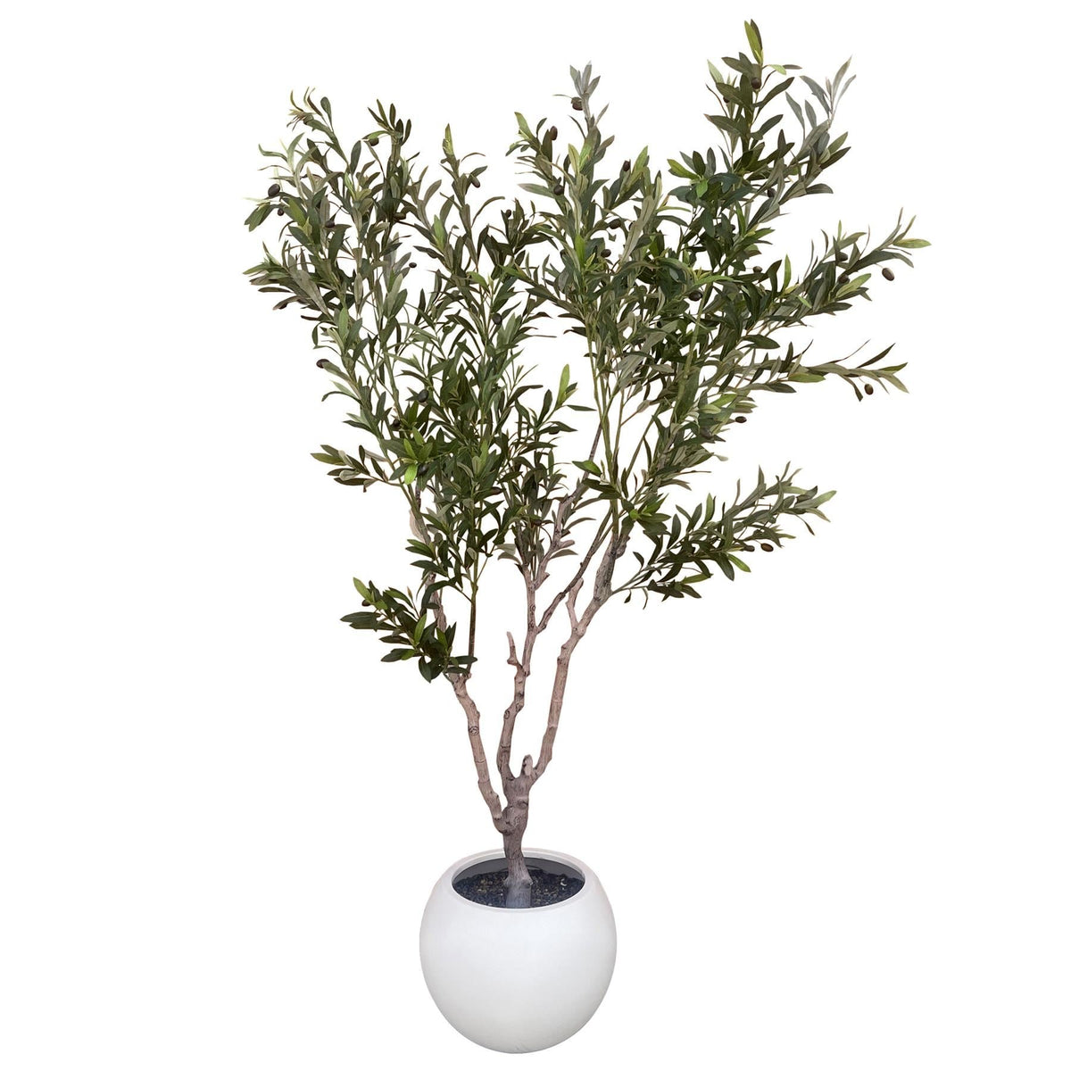 200cm XXL Artificial Olive Tree with Decorative Planter - Premium Quality
