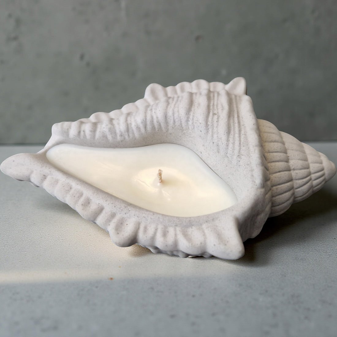 Conch Candle
