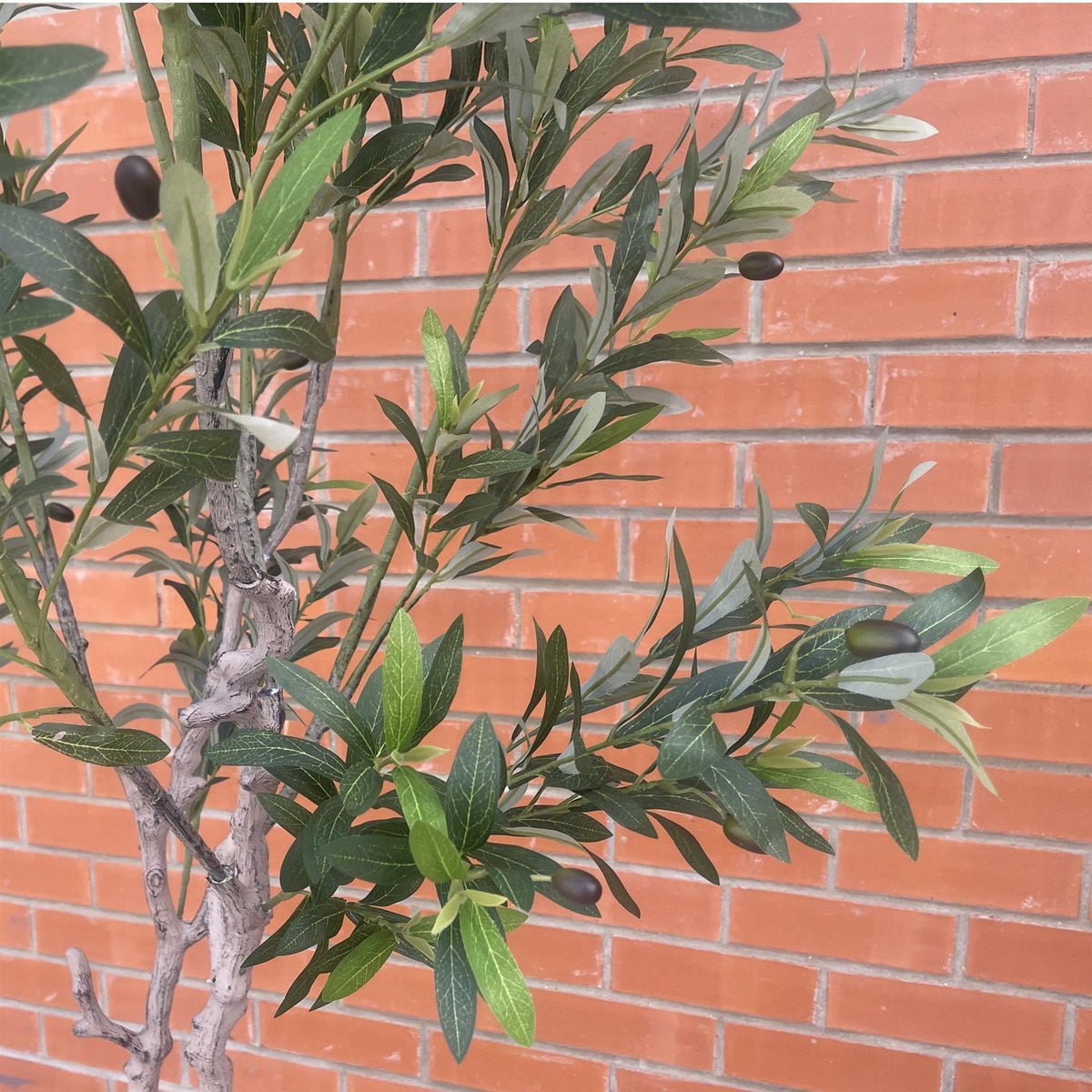 200cm XXL Artificial Olive Tree with Decorative Planter - Premium Quality