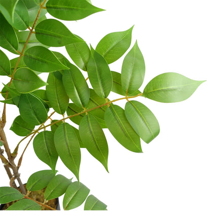 65cm Artificial Toona Sinensis Plant Evergreen - Premium Quality