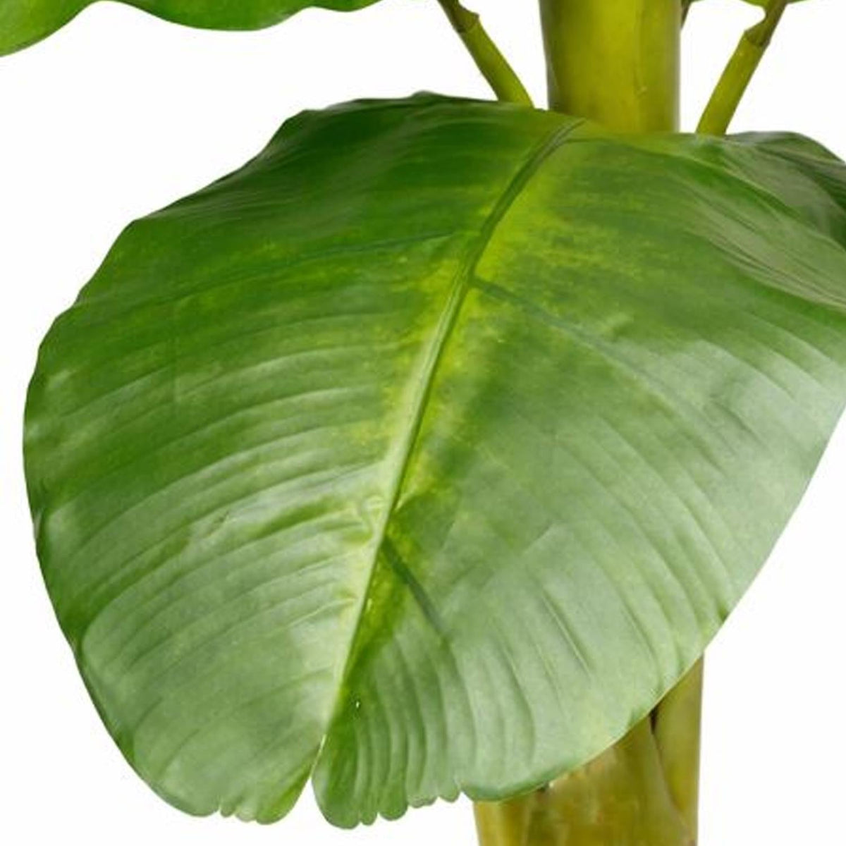 240cm Artificial Large Banana Tree with 13 Leaves - Premium Quality