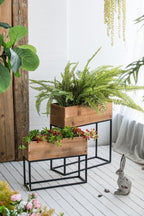 Set of 2 Wood Box Planters with Iron Stands