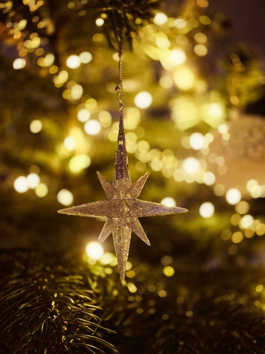 Christmas Ornament Set