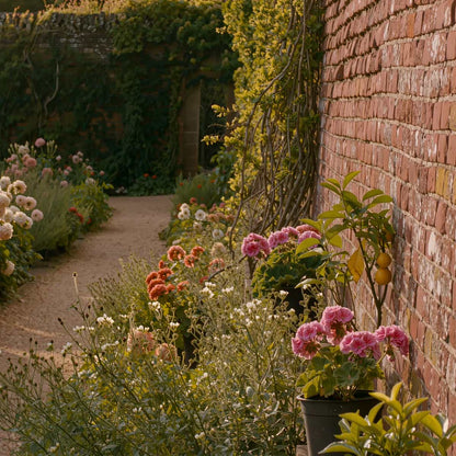 Walled Garden